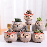 "Charline" Owl Flower Pot