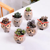 "Charline" Owl Flower Pot