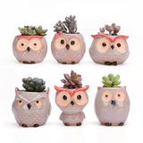 "Charline" Owl Flower Pot