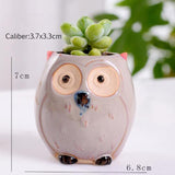 "Charline" Owl Flower Pot